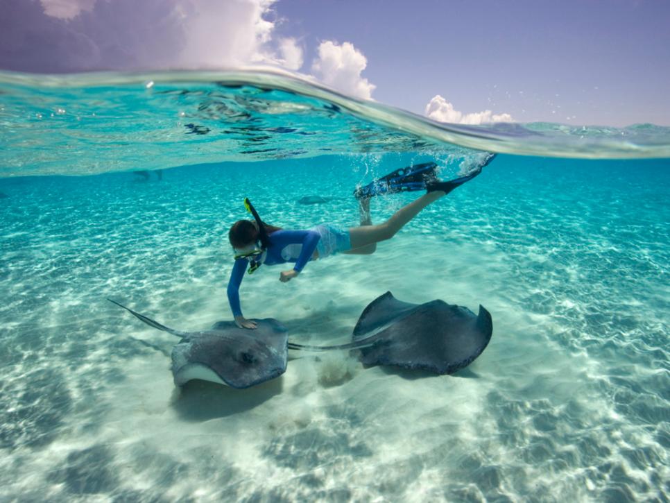 Grand Cayman Stingray City