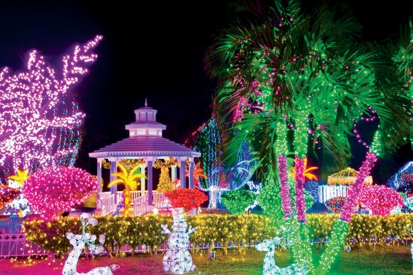 Grand Cayman Christmas Lights