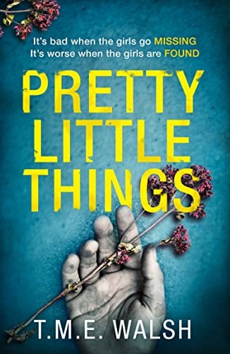 Pretty Little Things by T M E Walsh, front cover, holiday reading