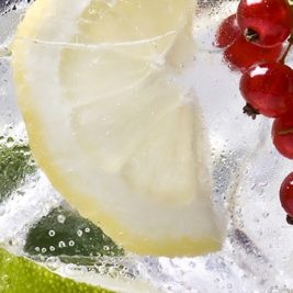 Close-up of a refreshing drink with a slice of lemon, lime wedges, red currants, and mint leaves. The beverage is filled with ice cubes and garnished attractively. Bubbles can be seen rising through the clear liquid, offering true ginspiration for any cocktail enthusiast.