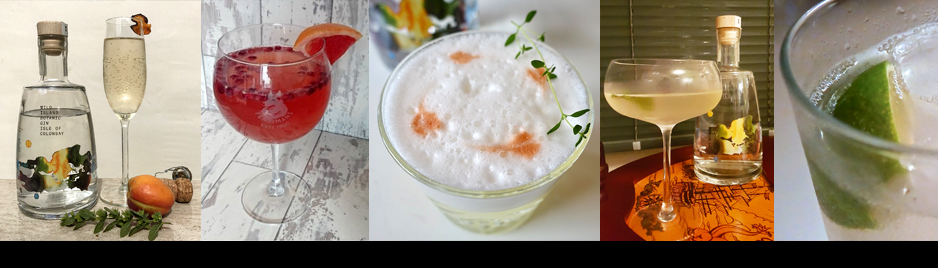 A series of five images showcasing different cocktails. From left to right: a clear bottle with a glass of bubbly drink and fruit garnish, a red drink with a citrus slice, a foamy white ginspiration with garnish, a clear drink with yellow garnish, and a drink with a lime wedge.