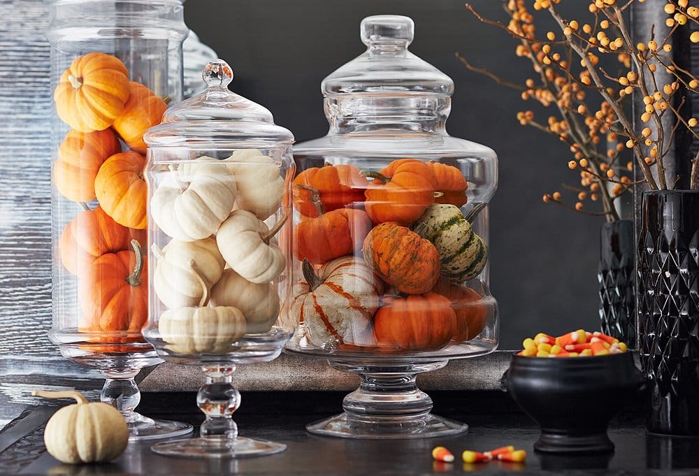 Halloween decor, three glass jars filled with tiny, coloured pumpkins