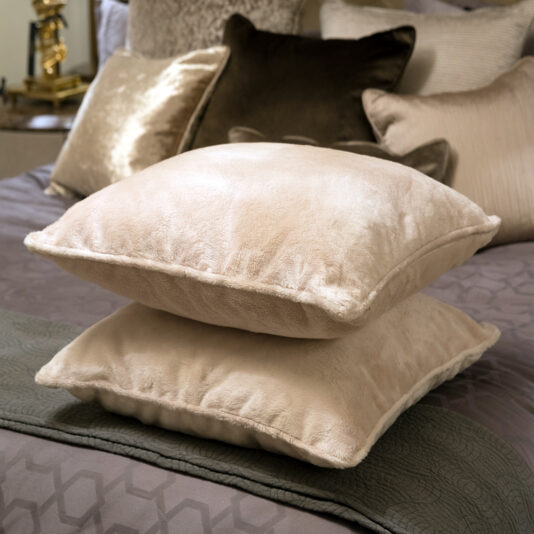 Set Of 2 Italian Soft Touch Designer Scatter Cushions