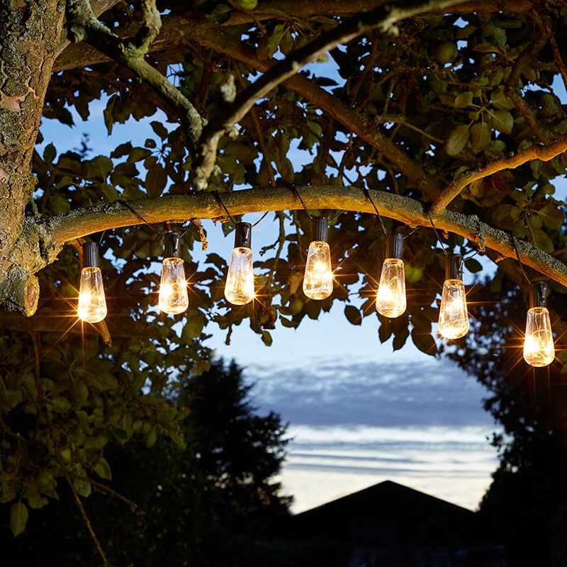 String lights, perfect for outdoor lighting, are hanging from the branch of a tree, glowing warmly at dusk. The sky in the background is transitioning from blue to twilight, and outlines of distant trees and a wooden structure are visible against the fading light.