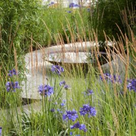 Nature garden with water bowl