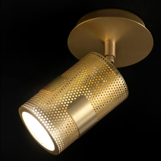 Adjustable Contemporary Spot Light