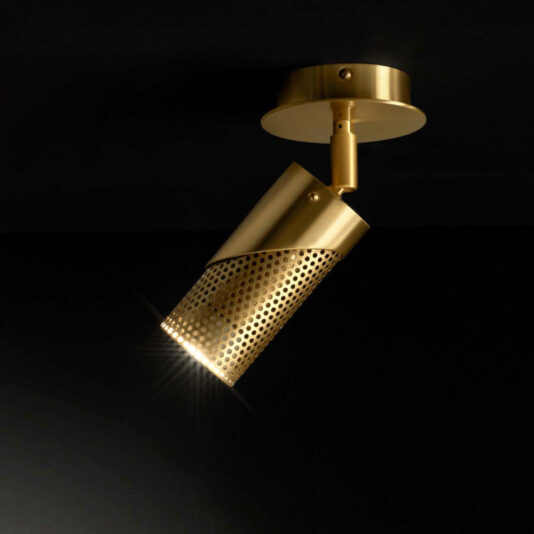 Modern Adjustable Spot Light