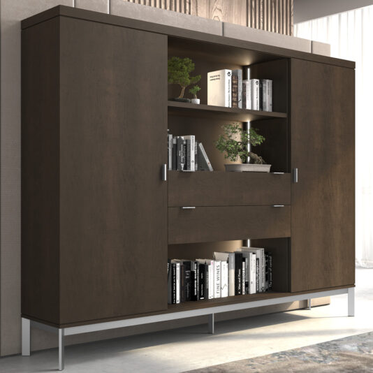 Modern Wooden Bookcase