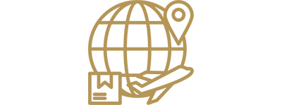 Icon of the globe with representing worldwide delivery is available