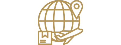 Gold globe and aeroplane icon representing worldwide delivery