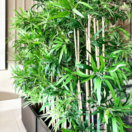 A Faux White Agapanthus In Glazed Bowl (Copy) is arranged with tall green leafy plants and slender bamboo canes in modern indoor planters, creating a lush display illuminated by natural sunlight.