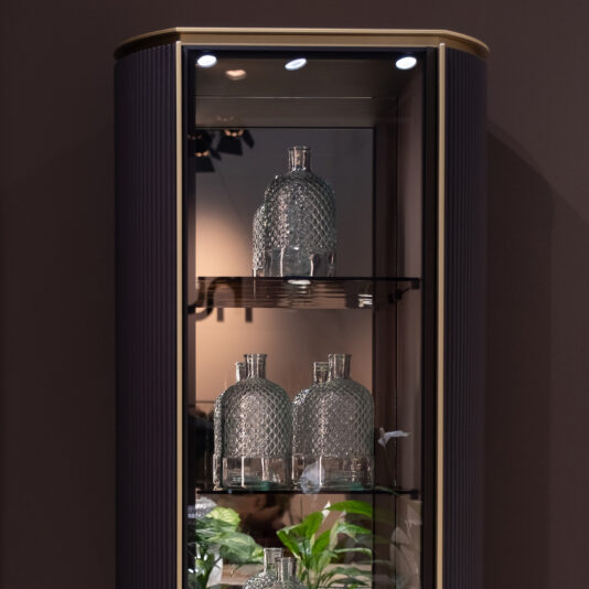 The Contemporary Lacquered Narrow Display Cabinet features two shelves displaying five clear, textured glass bottles—three on the bottom shelf and two on the top—with green plants visible at the cabinet’s base.